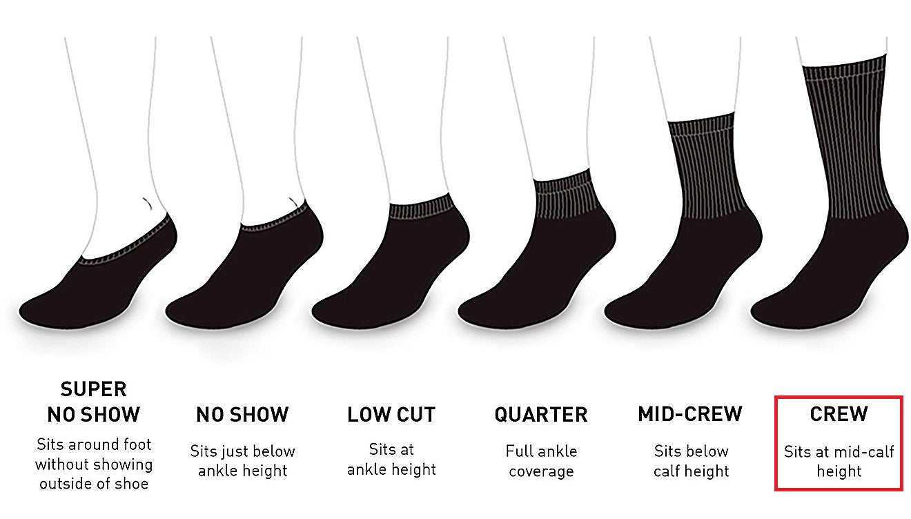 Cushioned Crew Socks (4 Pairs) - White